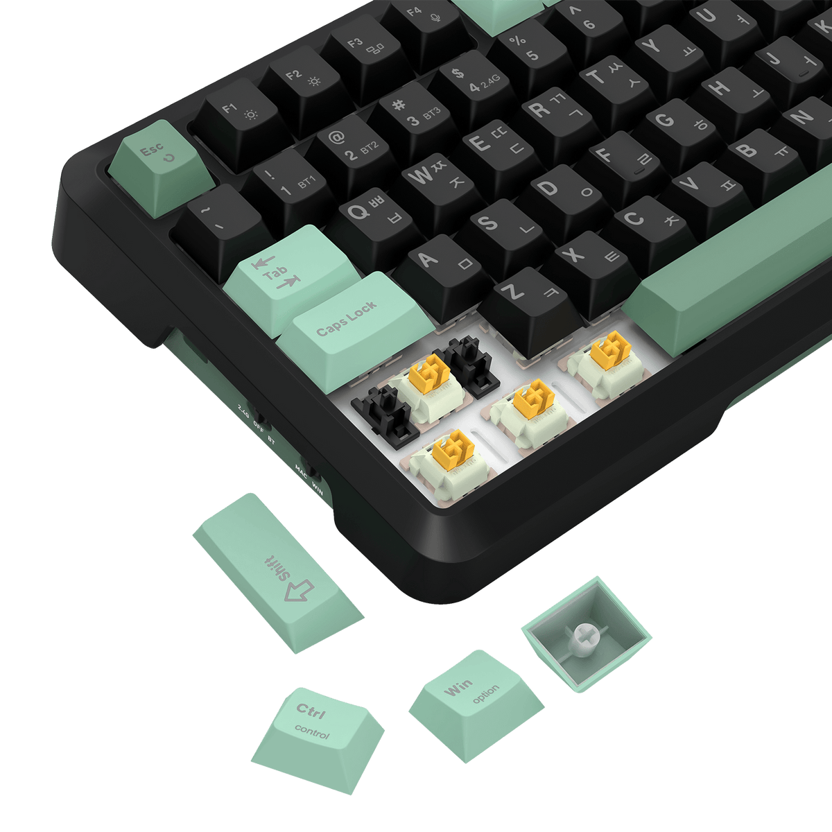 BRAGI K688 PRO QWERTY Korean Layout Keyboard, image 4 of 9
