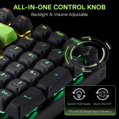 DHARMA K740 - thumbnail 4