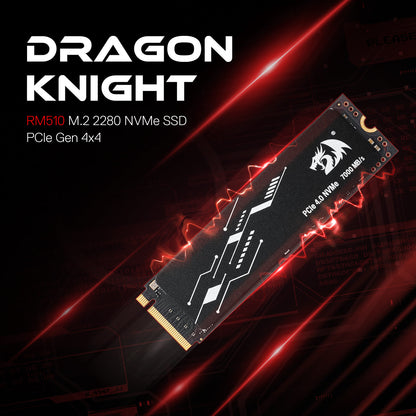 DRAGON KNIGHT 1 TB/2 TB NVMe SSD  - thumbnail 16