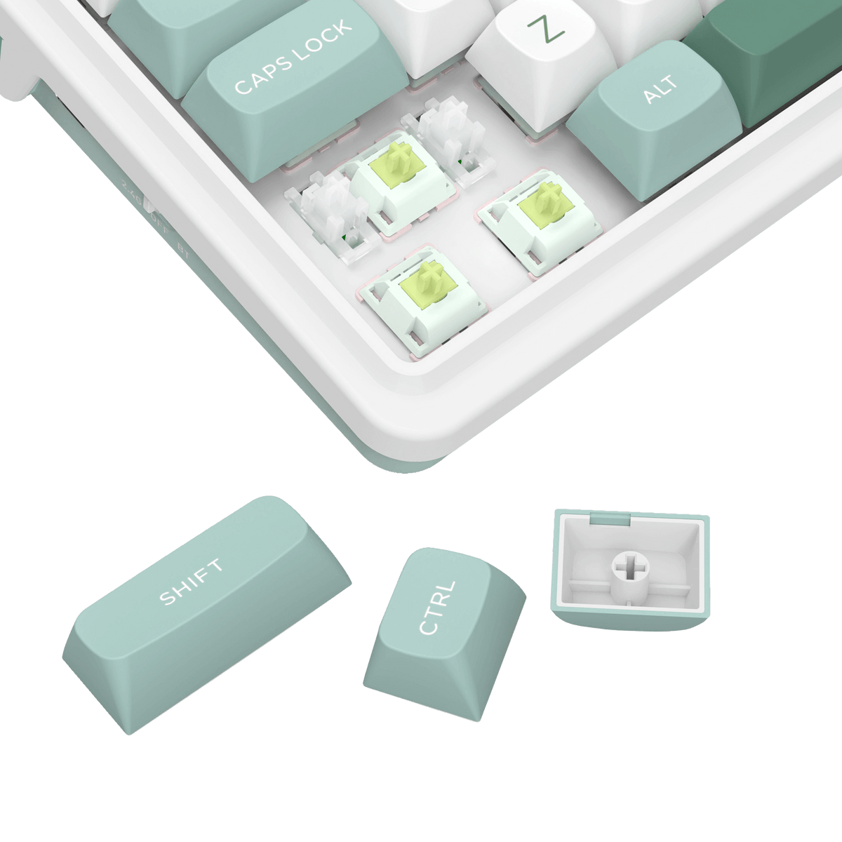 GALATIN PRO K719, image 33 of 34 - enlarged view