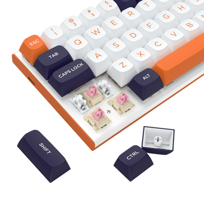 FIDD K683 (M61) (Magnetic Hall Effect Keyboard) - thumbnail 15