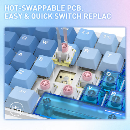NOVA K709 HE Rapid Trigger Gaming Keyboard (Transparent Blue Keycaps) - thumbnail 6