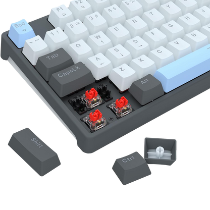 CAESURA K718 - thumbnail 7