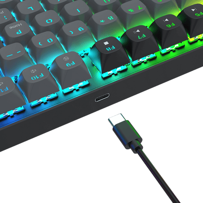 DHARMA K740 - thumbnail 10