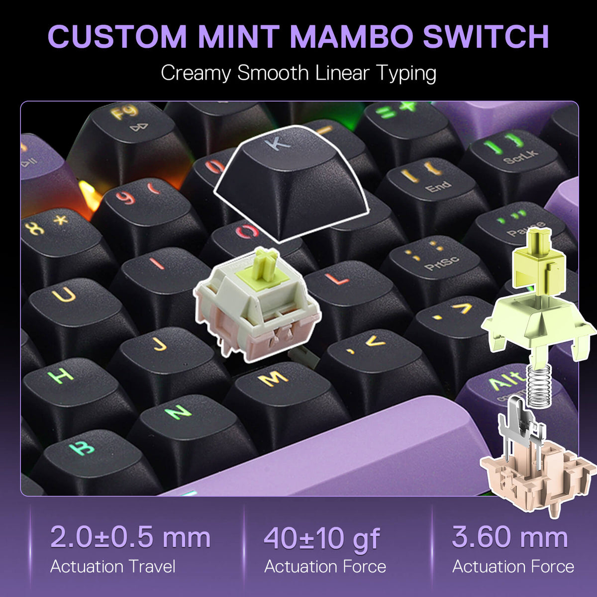 DHARMA K740 PRO, image 7 of 10 - enlarged view