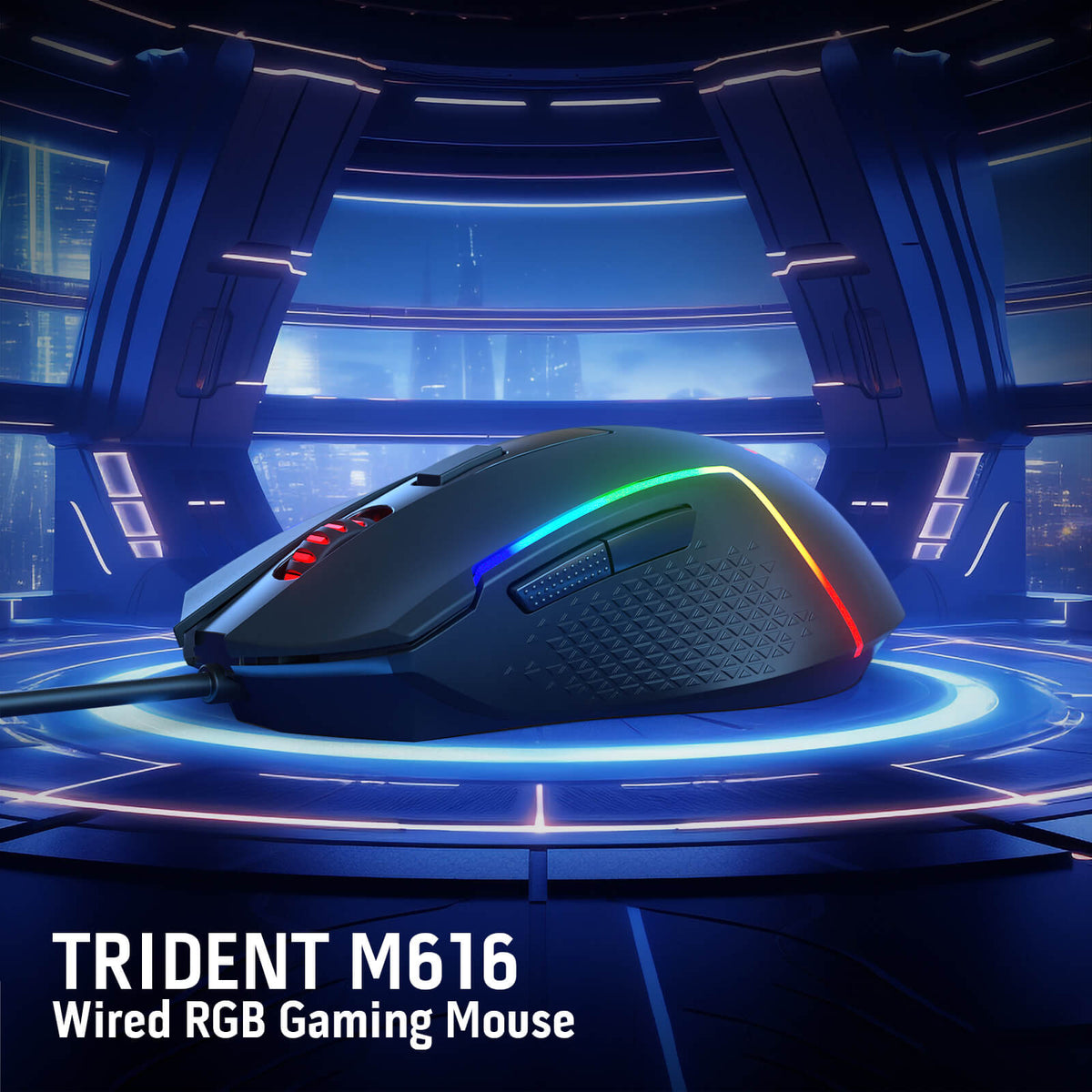 TRIDENT M616, image 8 of 17 - enlarged view