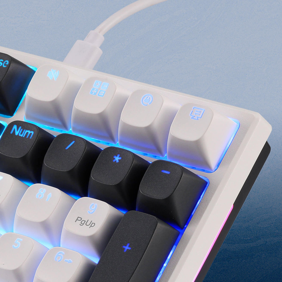 TRUNDLE K668 (Round Keycaps), image 10 of 17 - enlarged view