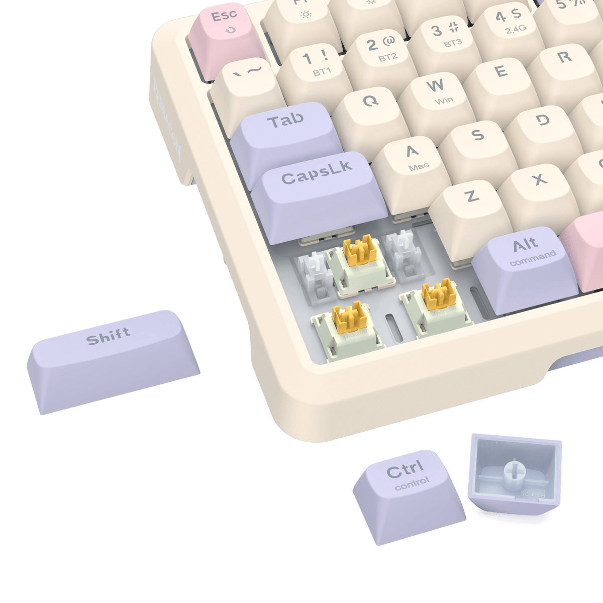BEHEMOTH K724 PRO, image 48 of 57 - enlarged view