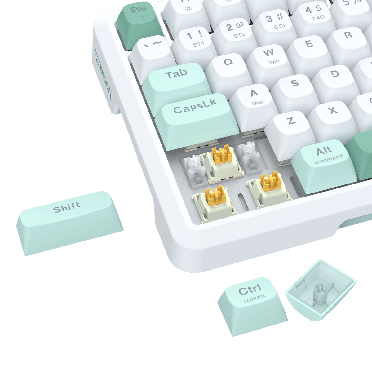 BEHEMOTH K724 PRO, image 56 of 57 - enlarged view