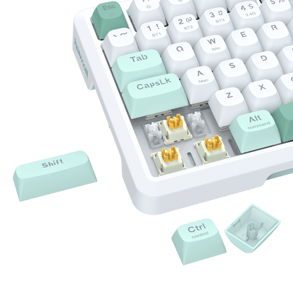 BEHEMOTH K724 PRO - thumbnail 56