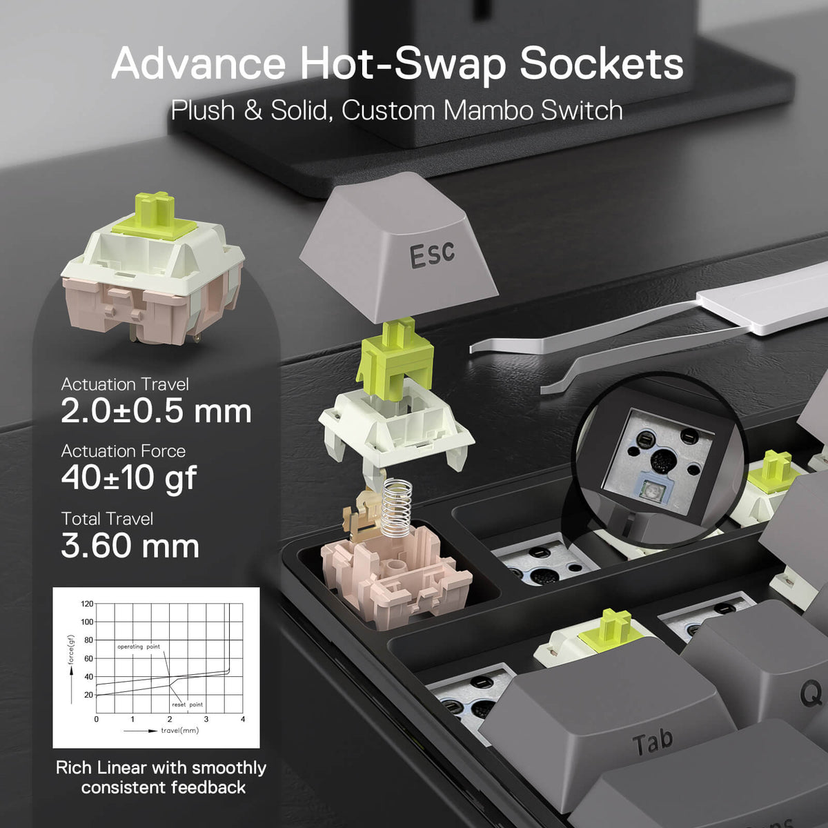 FAYE K744 PRO, image 14 of 18 - enlarged view