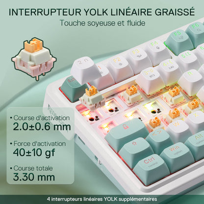 GALATIN PRO K719 - thumbnail 17