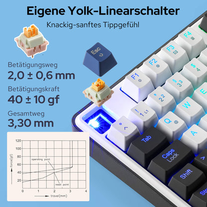 WYVERN K689 - thumbnail 34