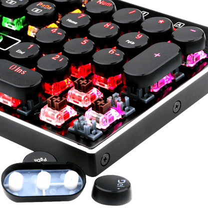(Open-box) DEVARAJAS K556-RK - thumbnail 6