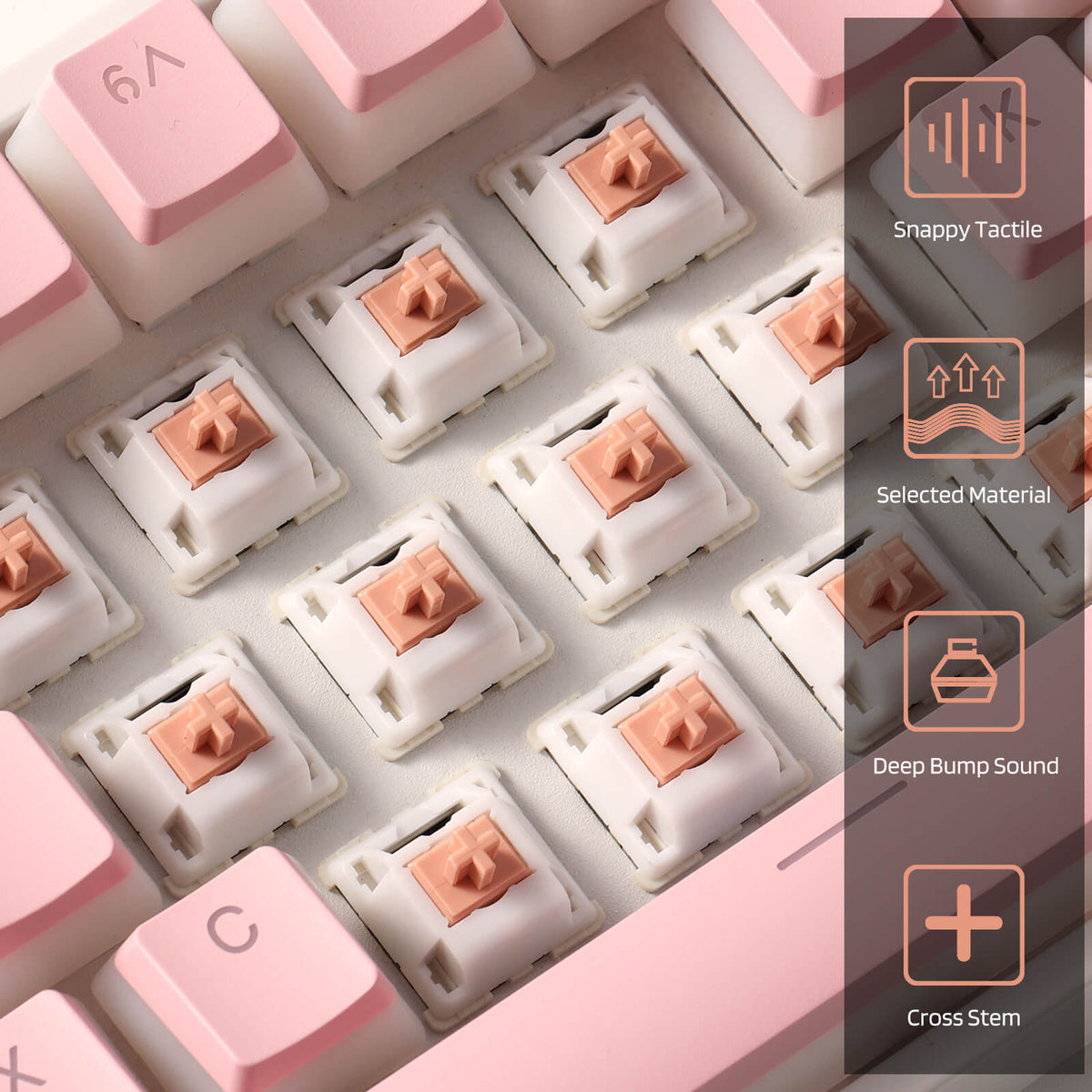 Redragon x LTC Panda Switches for Mechanical Keyboard DIY..., image 5 of 8 - enlarged view