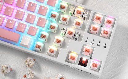 Redragon x LTC Panda Switches for Mechanical Keyboard DIY (30 Pcs) - thumbnail 7